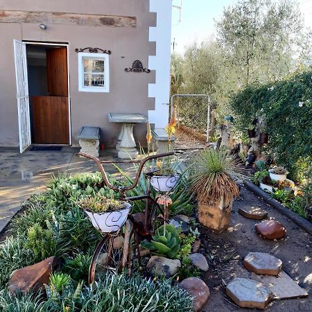 Carmel Villa B&B Or Self-Catering Calvinia Екстер'єр фото